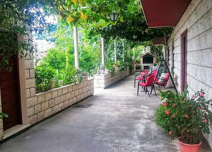 Radis זאטון